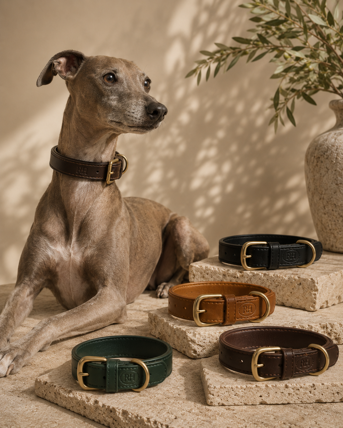 Richmond Hound Signature Collar leather and satin-brass detail