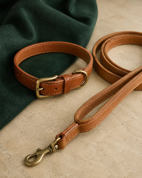 The Hyde Park Set with a full-grain leather collar and matching lead
