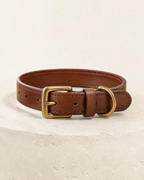 The Richmond Collar in Chestnut full-grain leather with a brass buckle